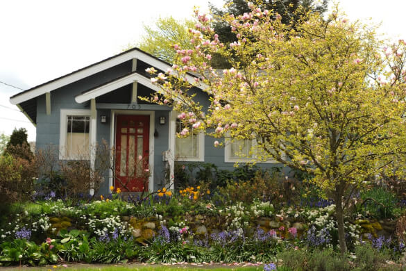 COVA Home Realty
